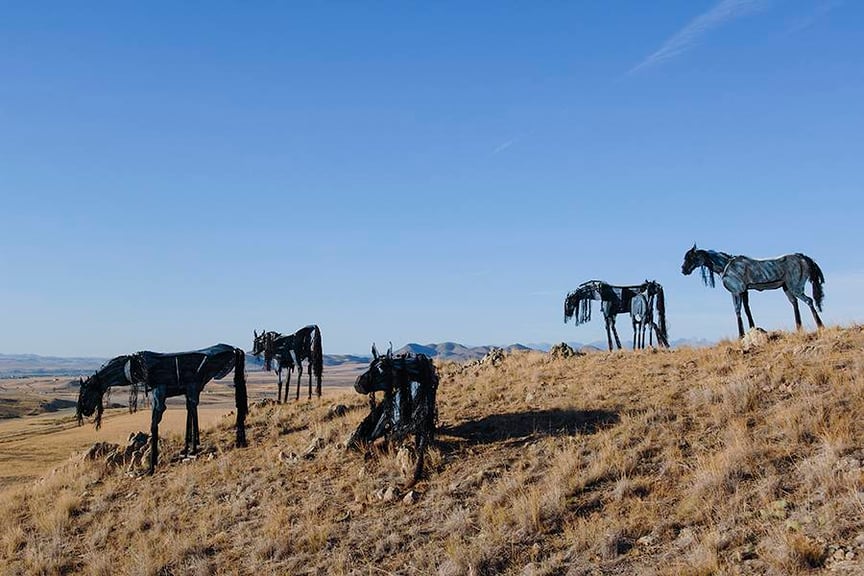 Bleu Horses