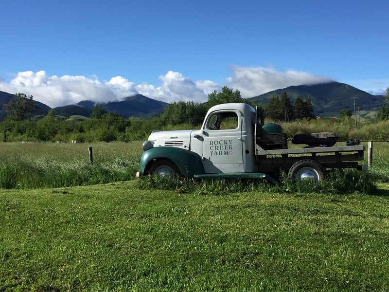 Rocky Creek Farms