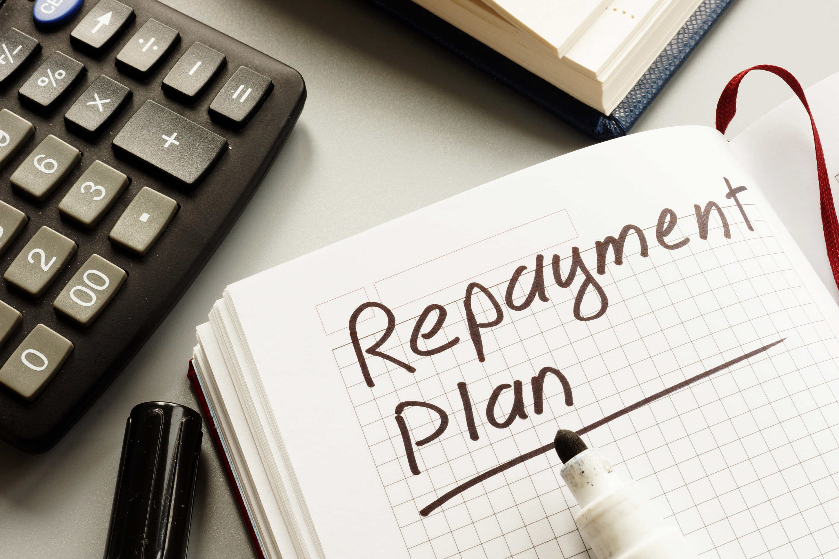 Image of a repayment plan.