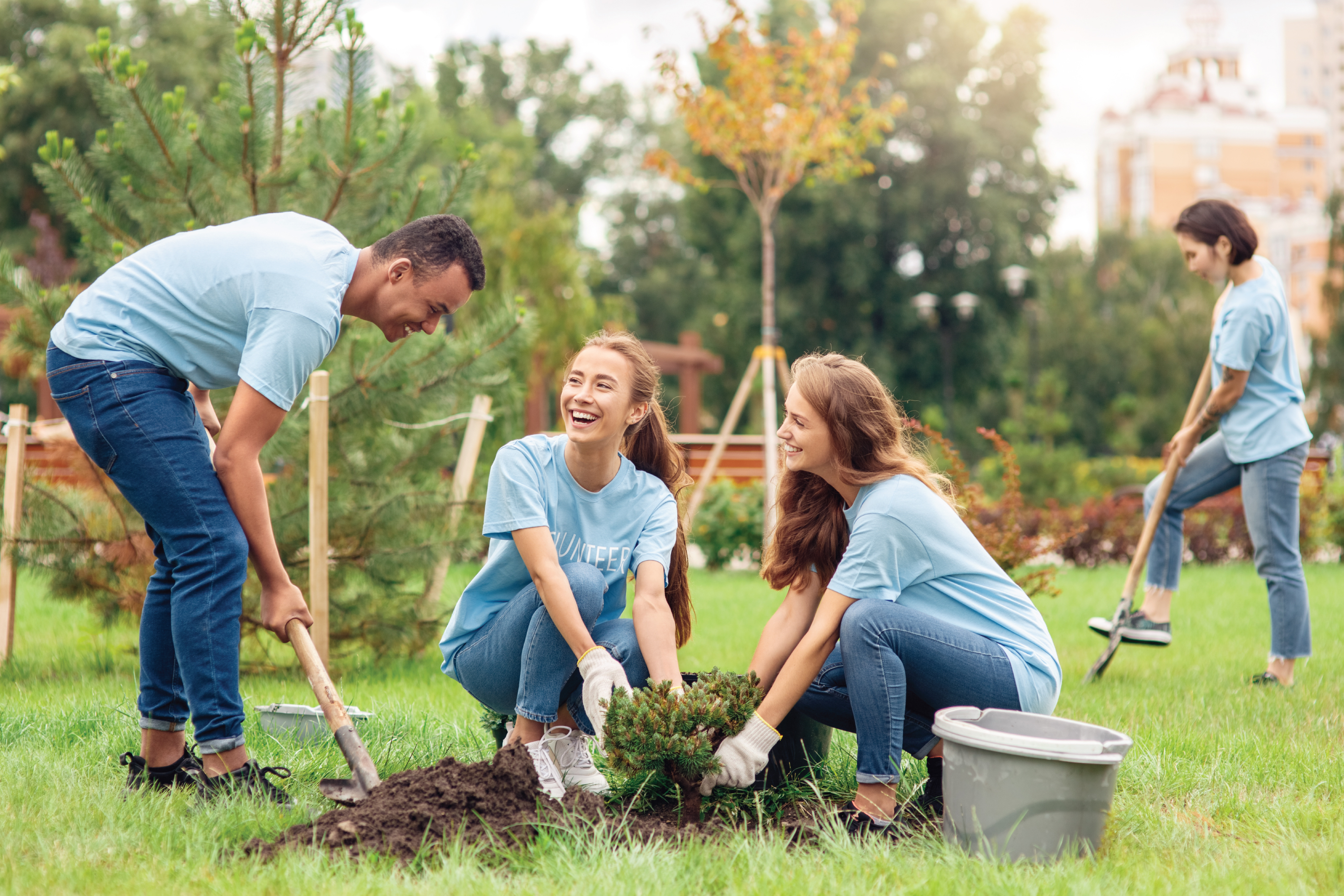 three volunteers planting trees