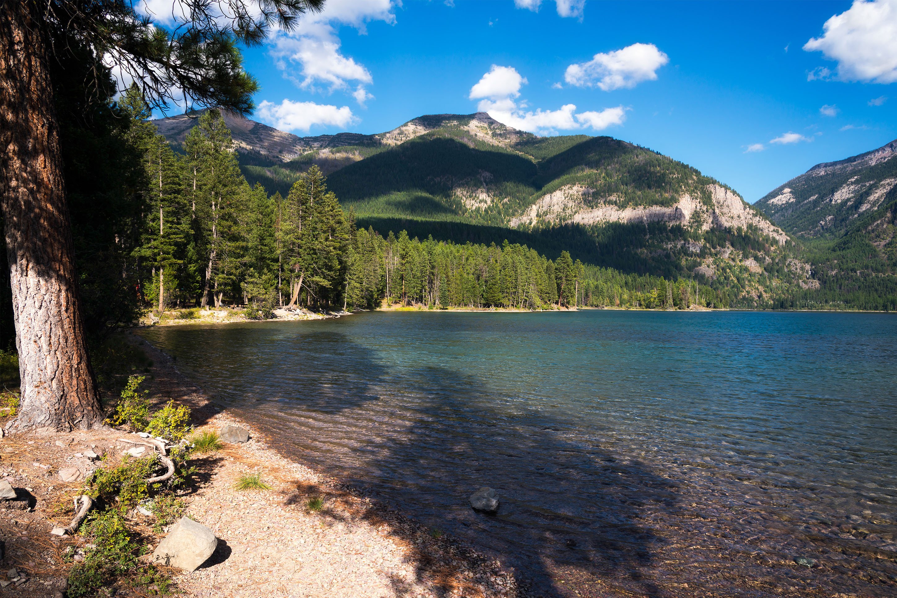 Photo of Holland Lake, Montana