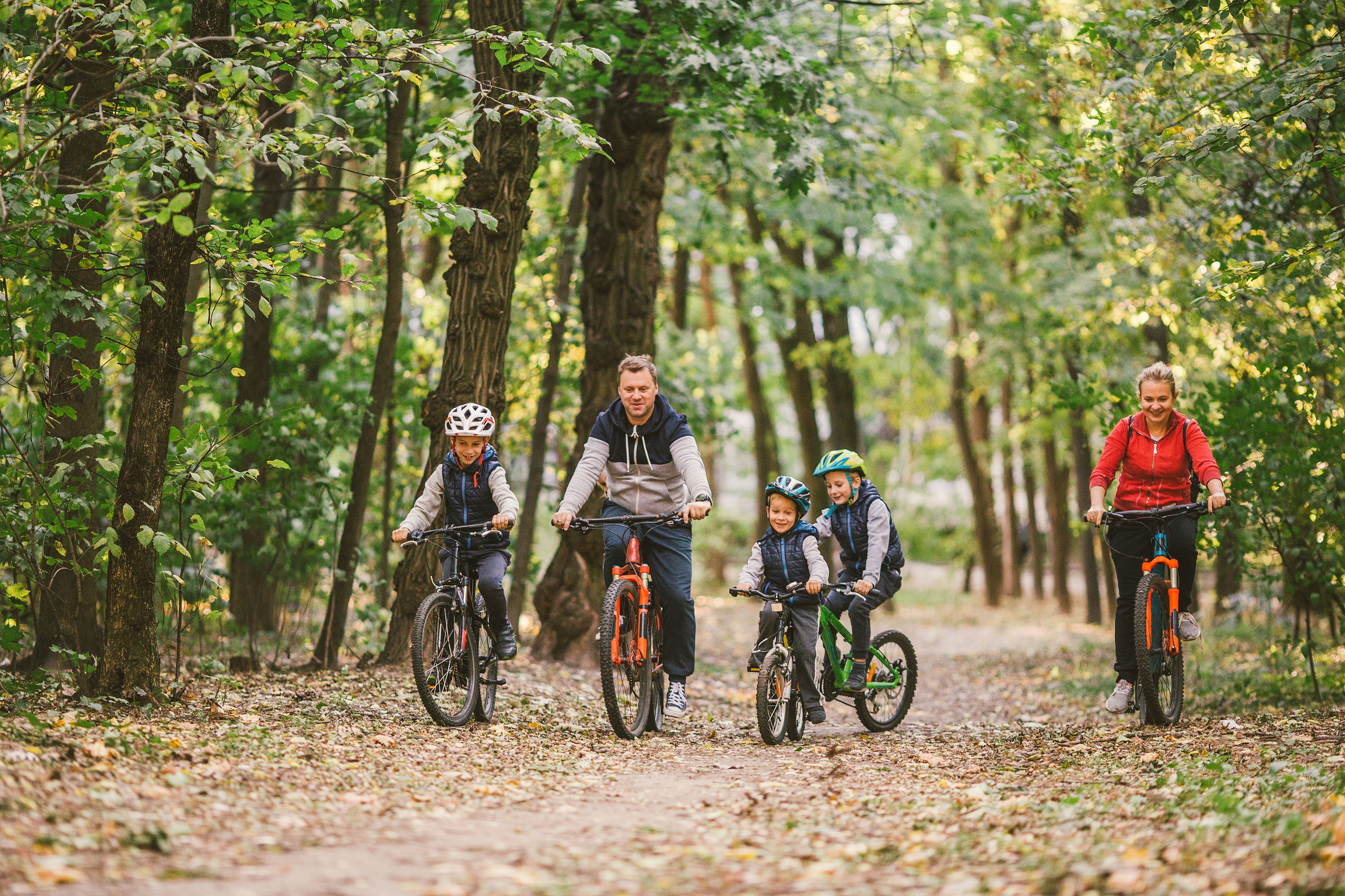 Family riding bikes on a trail through the forest. 