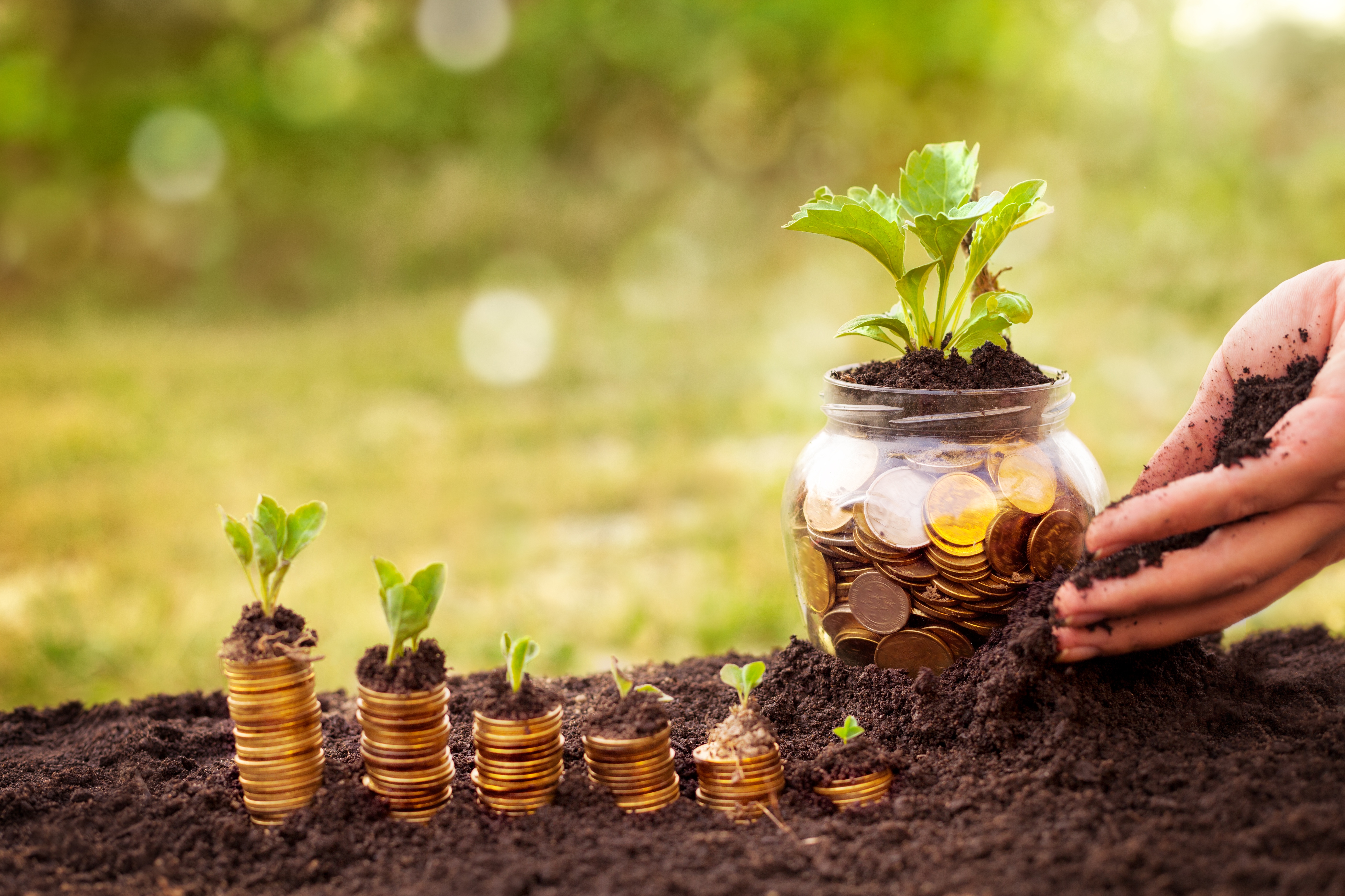 Not Your Average Gardening Blog: Easy Ways to Start a Garden and Save Some Cash