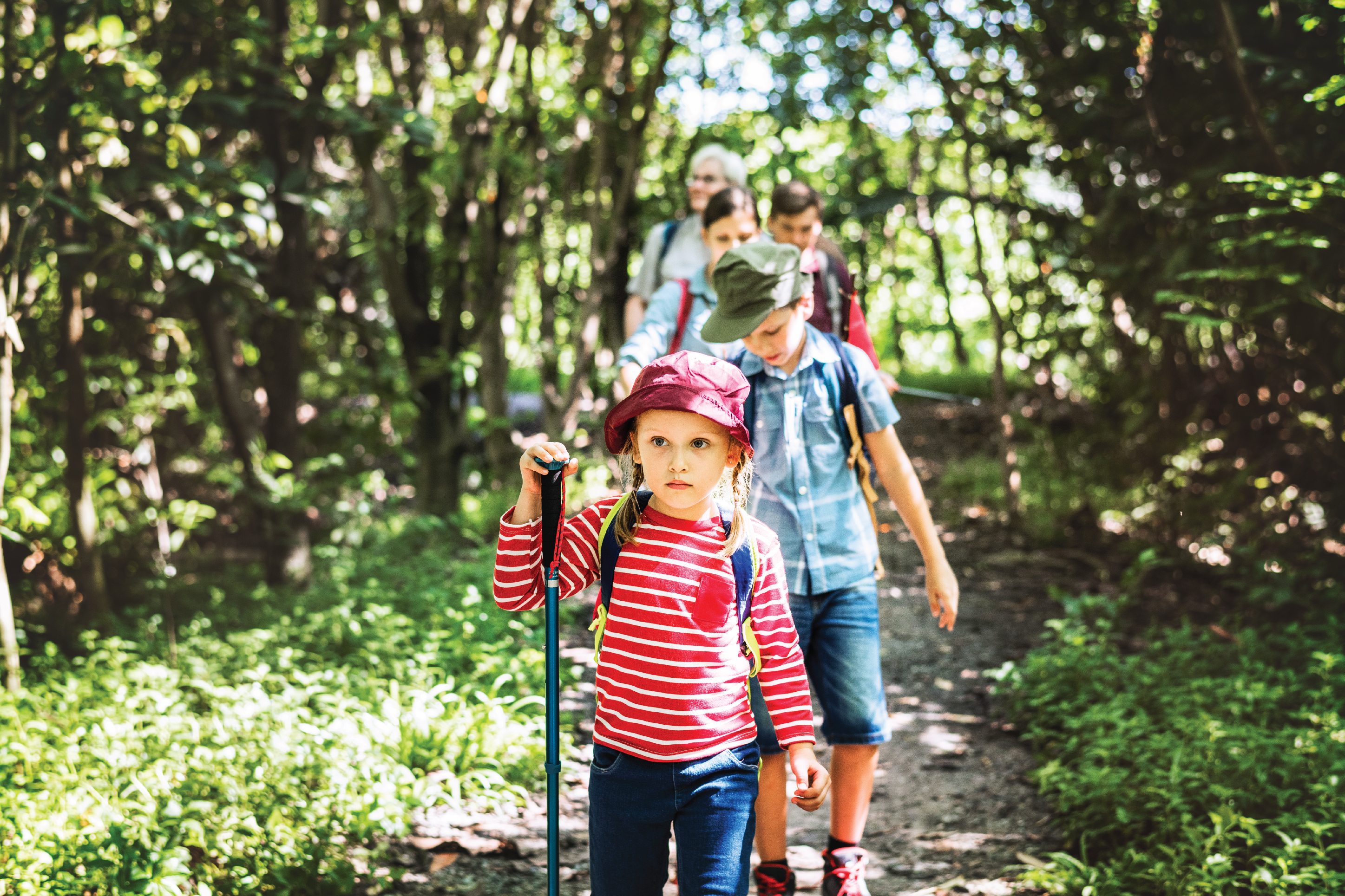 Photo of a family hiking in the woods. 